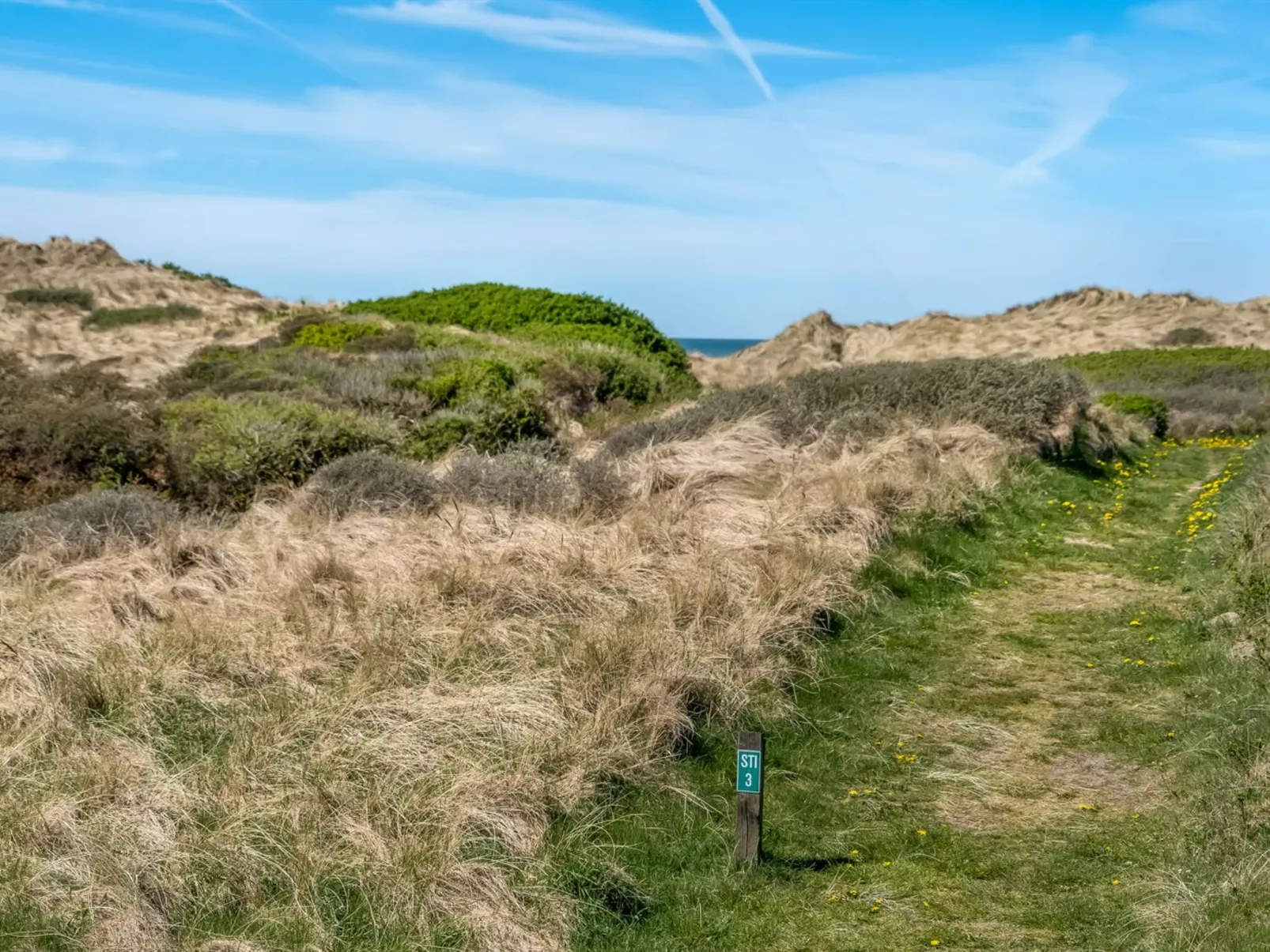 "Erko" - 150m from the sea-Dehors