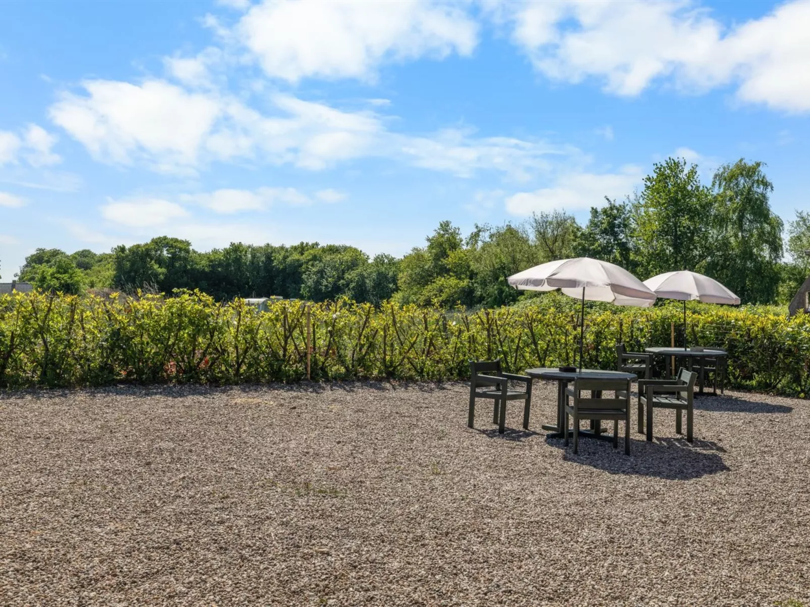 "Frothi" - 550m from the sea-Outside