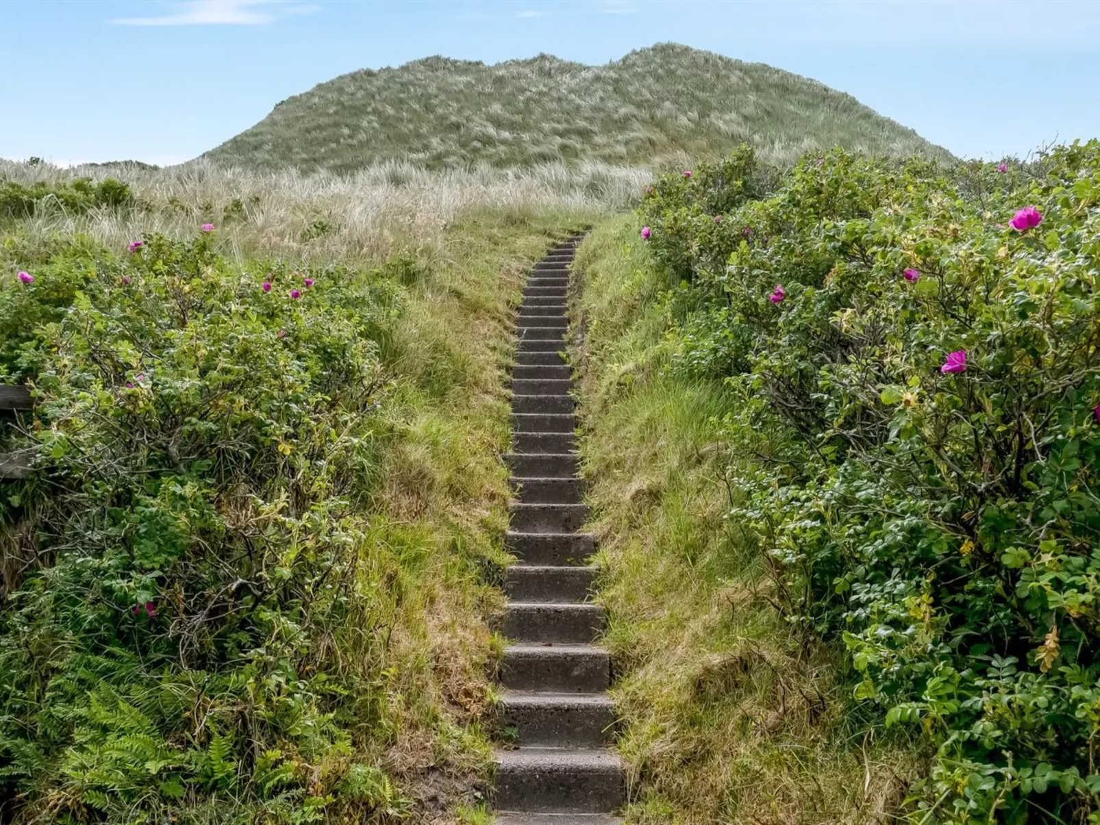 "Thorfrid" - 150m from the sea-Outside