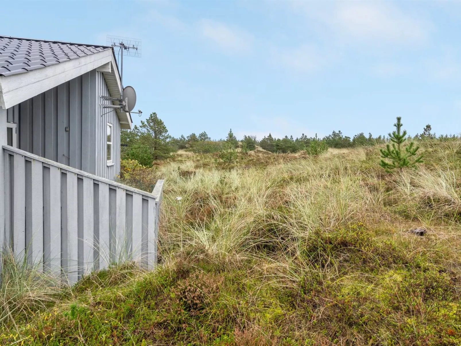 "Tino" - 900m from the sea-Outside