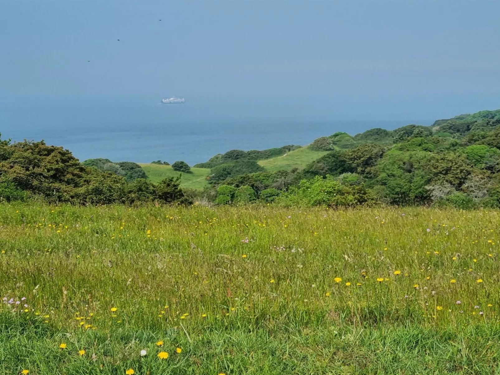 "Miona" - 725m from the sea-Outside