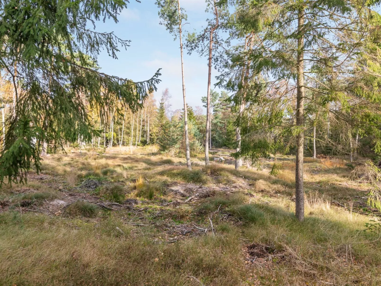 "Jaarne" - 800m from the sea-Outside