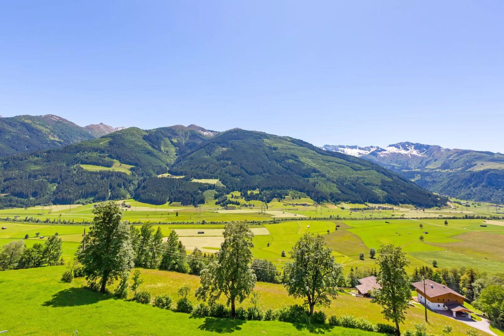Grünlicher Hof-Areas summer 5km