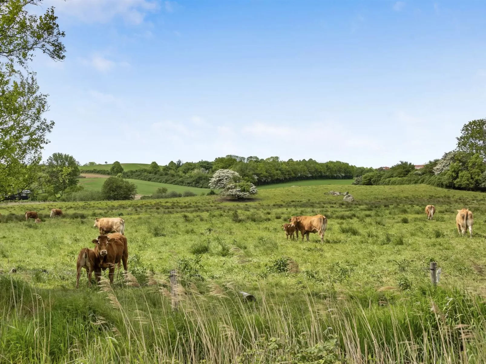 "Sigbritt" - 100m from the sea-Draußen