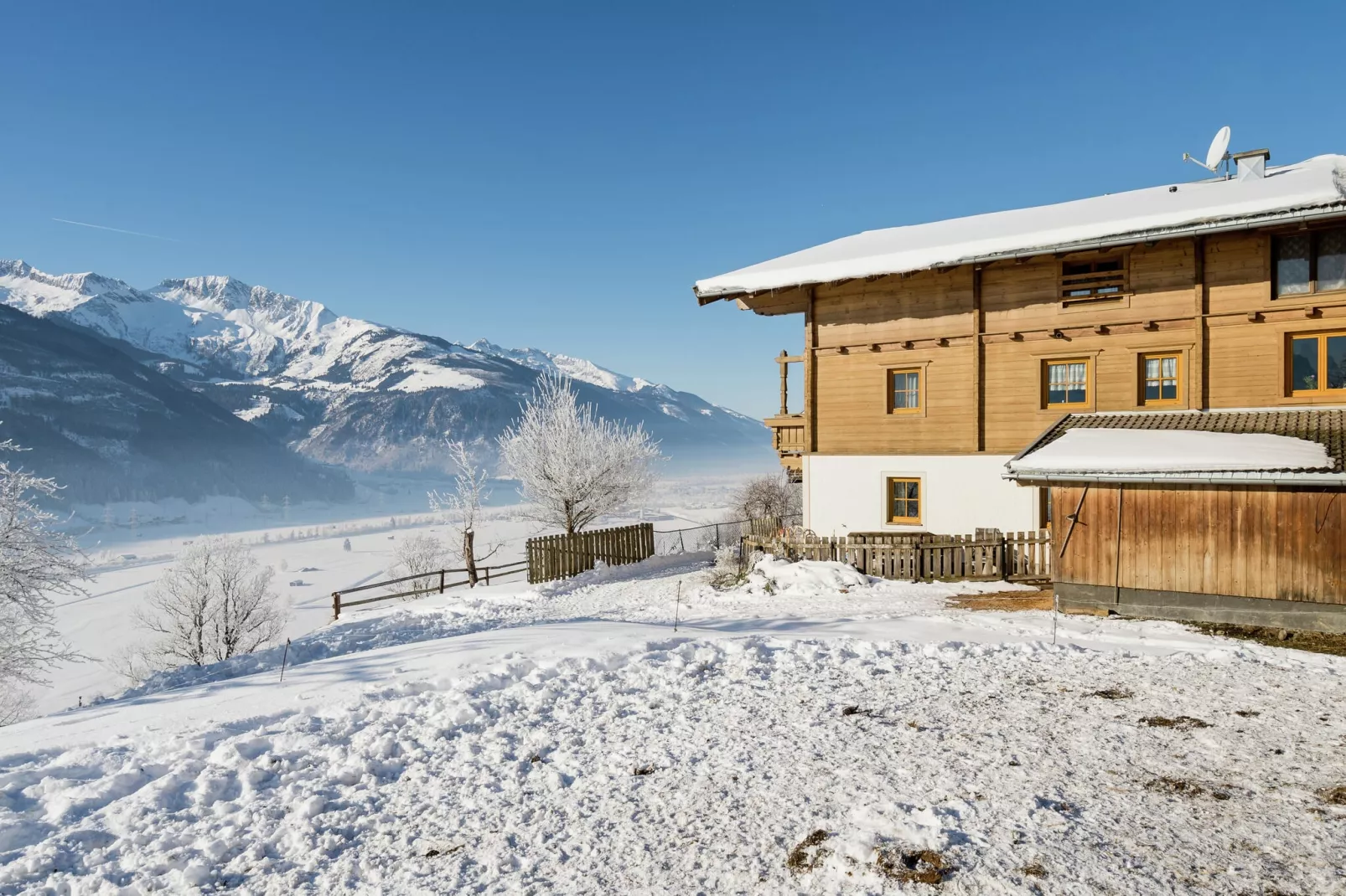 Grünlicher Hof-Exterior winter