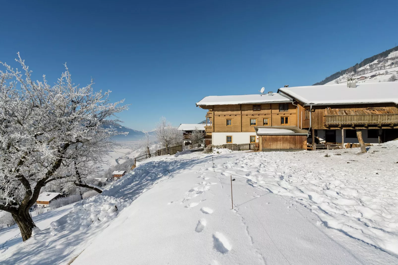 Grünlicher Hof-Exterior winter