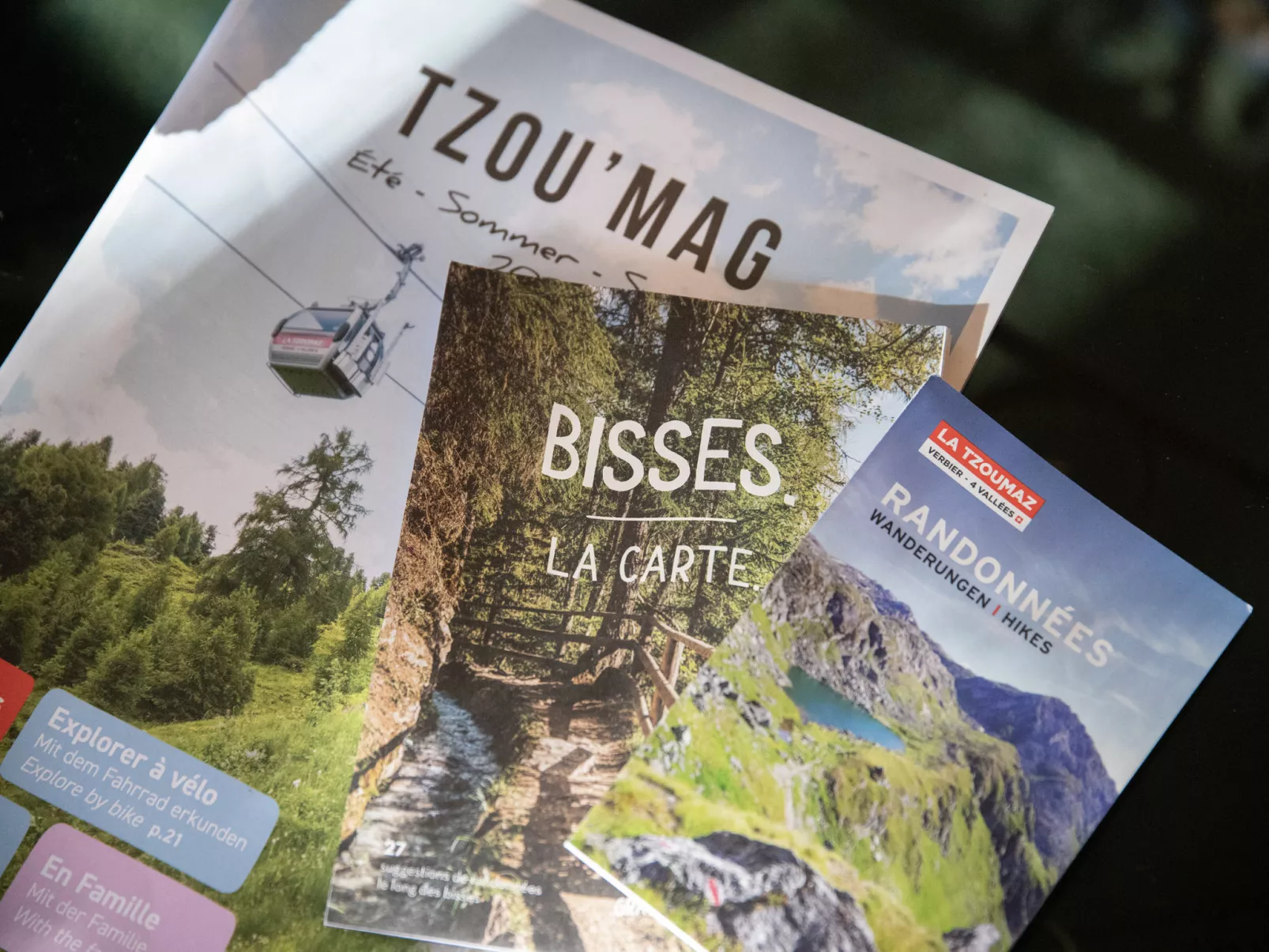 Chalet Chante Neige-Drinnen