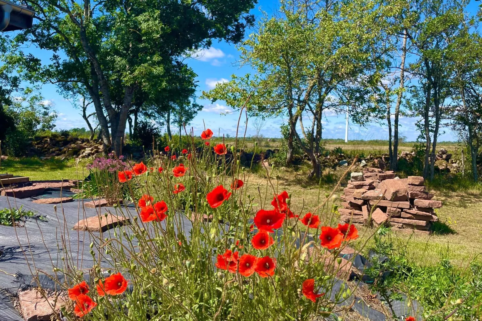 5 person holiday home in BORGHOLM-By Traum-Untagged