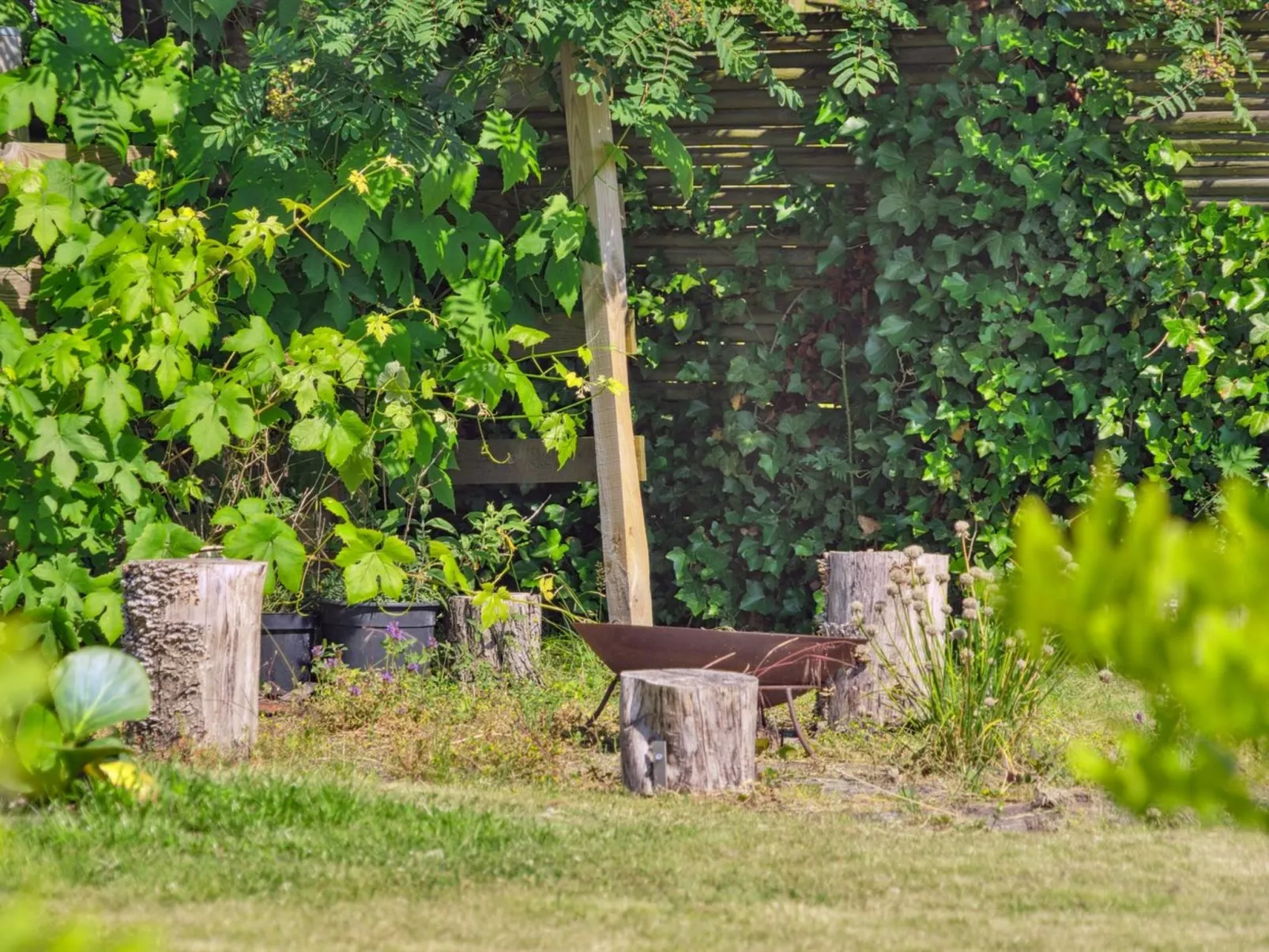 "Thomas" - 120m from the sea-Outside