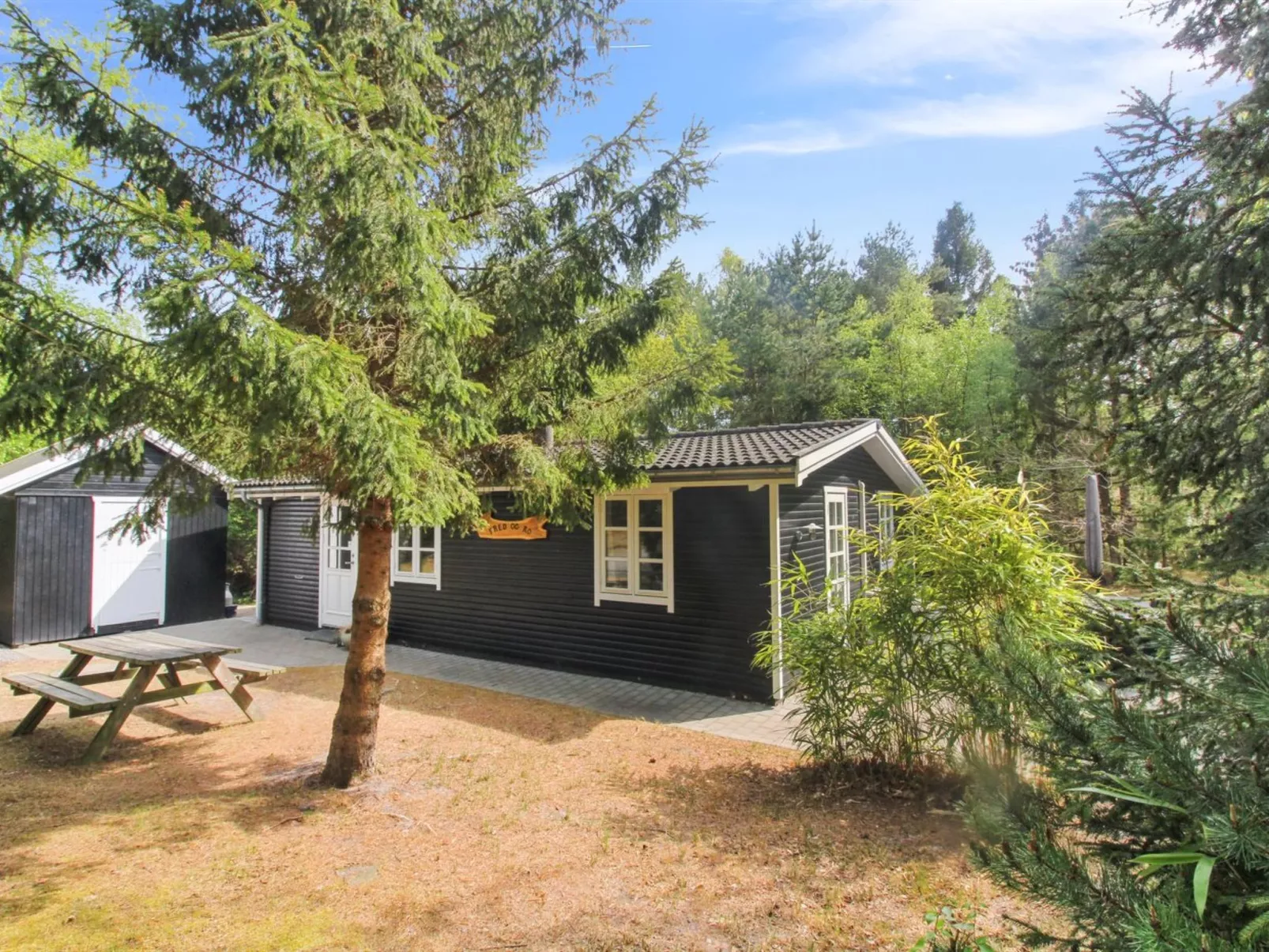 "Zeytun" - 800m from the sea-Dehors