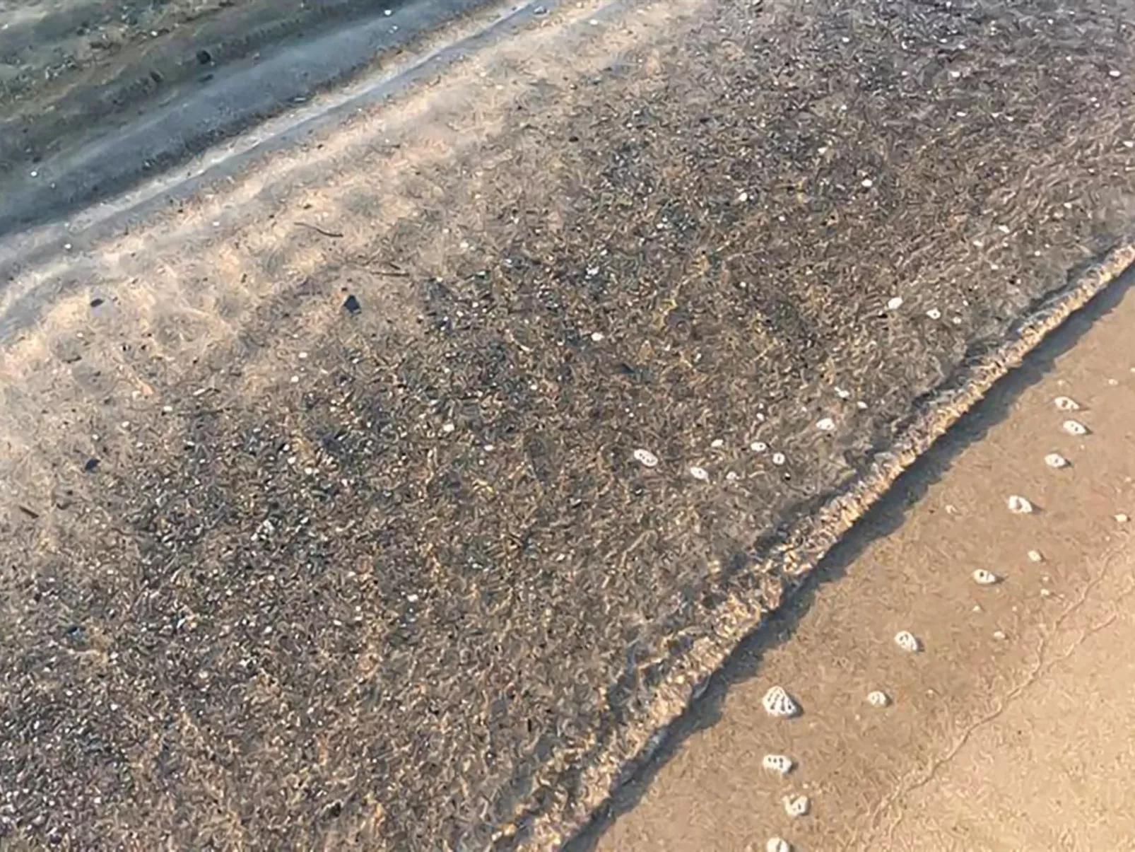 "Stacie" - 10m from the sea-Draußen