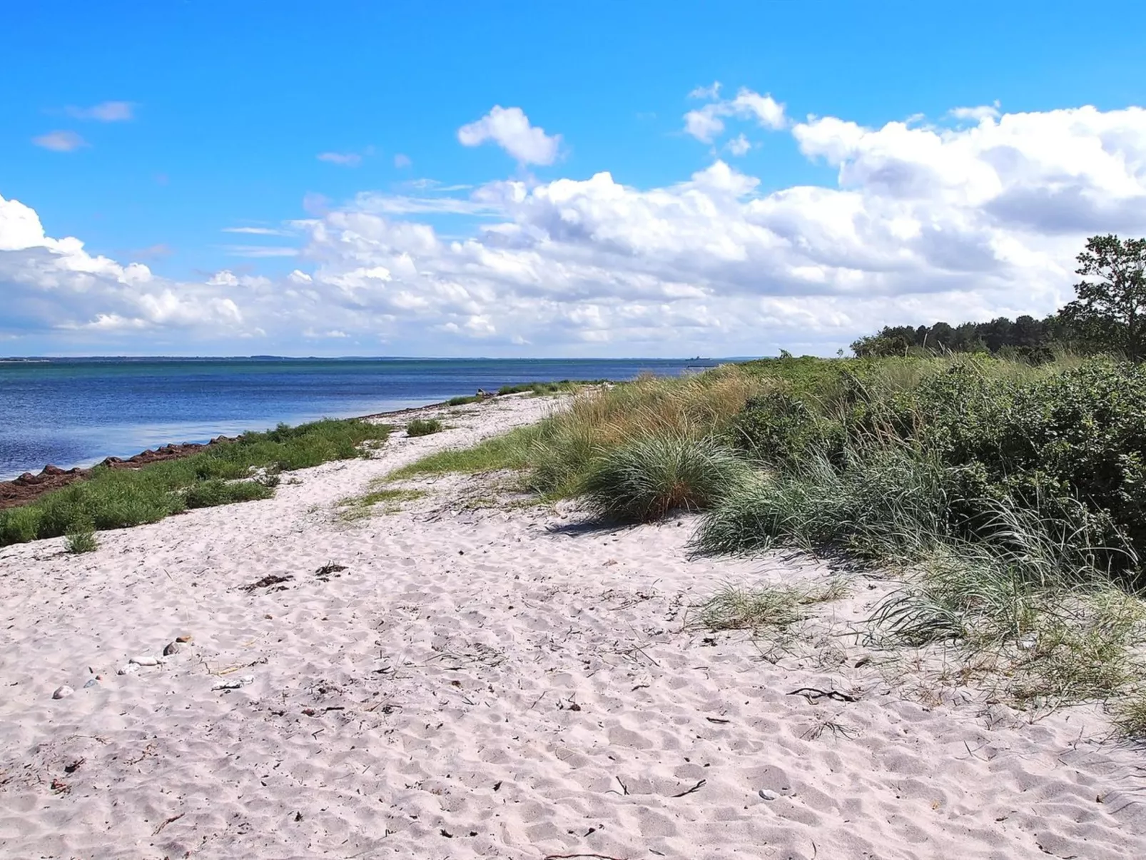 "Liselotte" - 275m from the sea-Outside