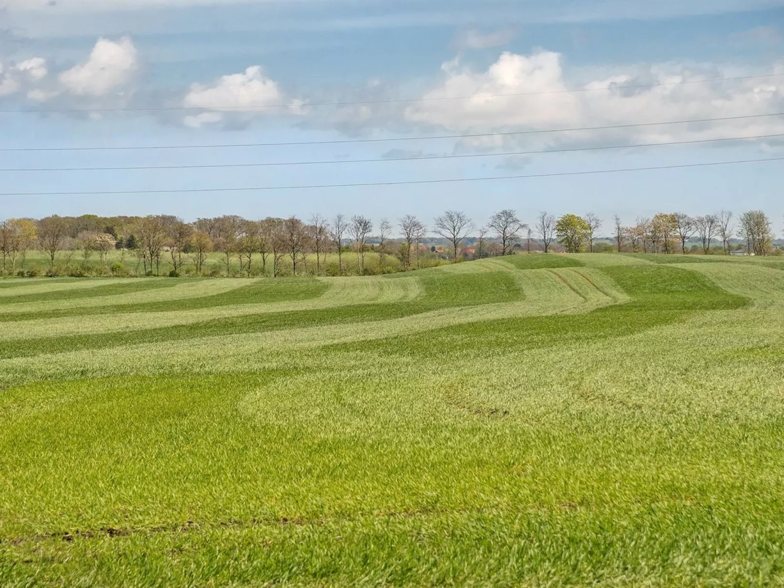 "Henna" - 550m to the fjord-Draußen