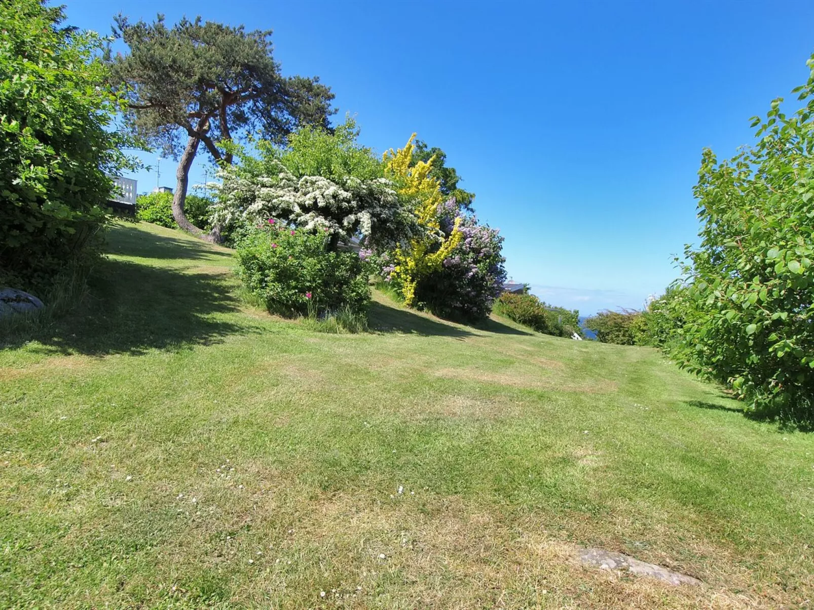 "Jolanda" - 800m from the sea-Outside