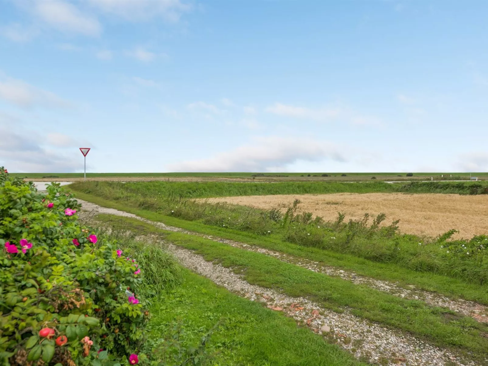 "Clausina" - 600m from the sea-Draußen