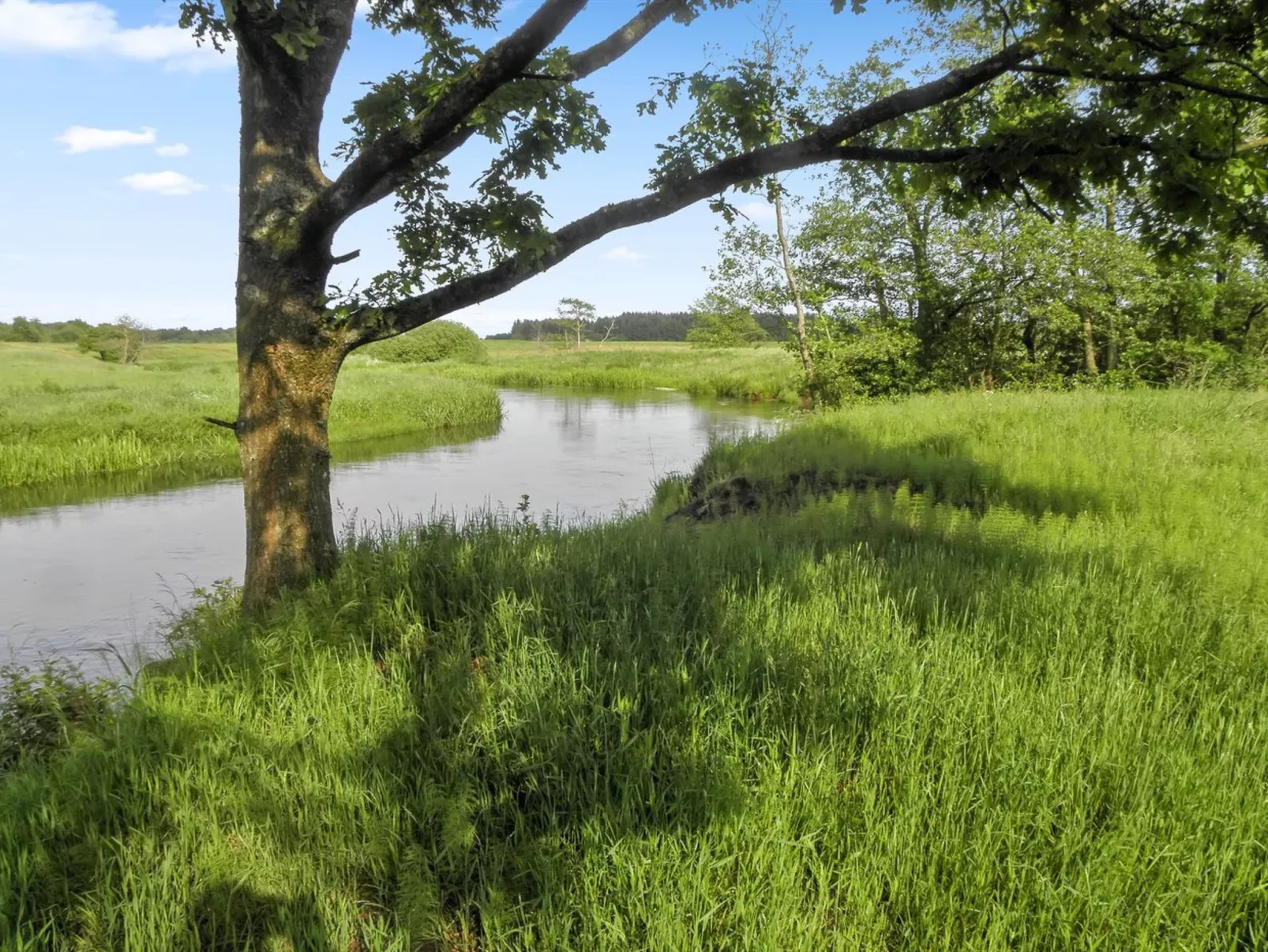 "Beatha" - 25km to the fjord-Outside