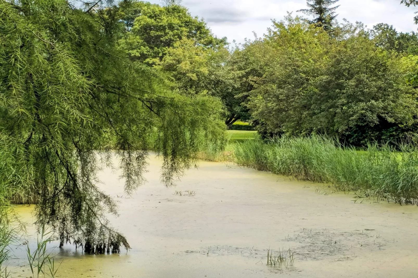 4 Personen Ferienhaus in Tønder-By Traum-Im Freien
