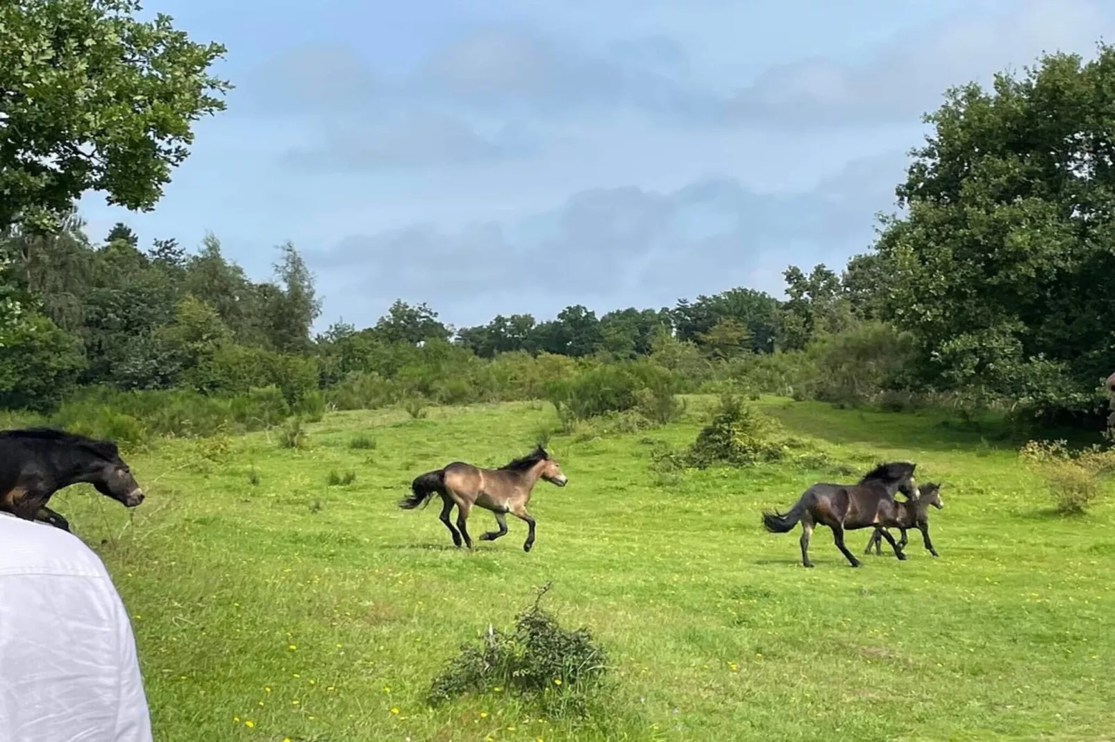 6 person holiday home in Knebel-By Traum-Untagged