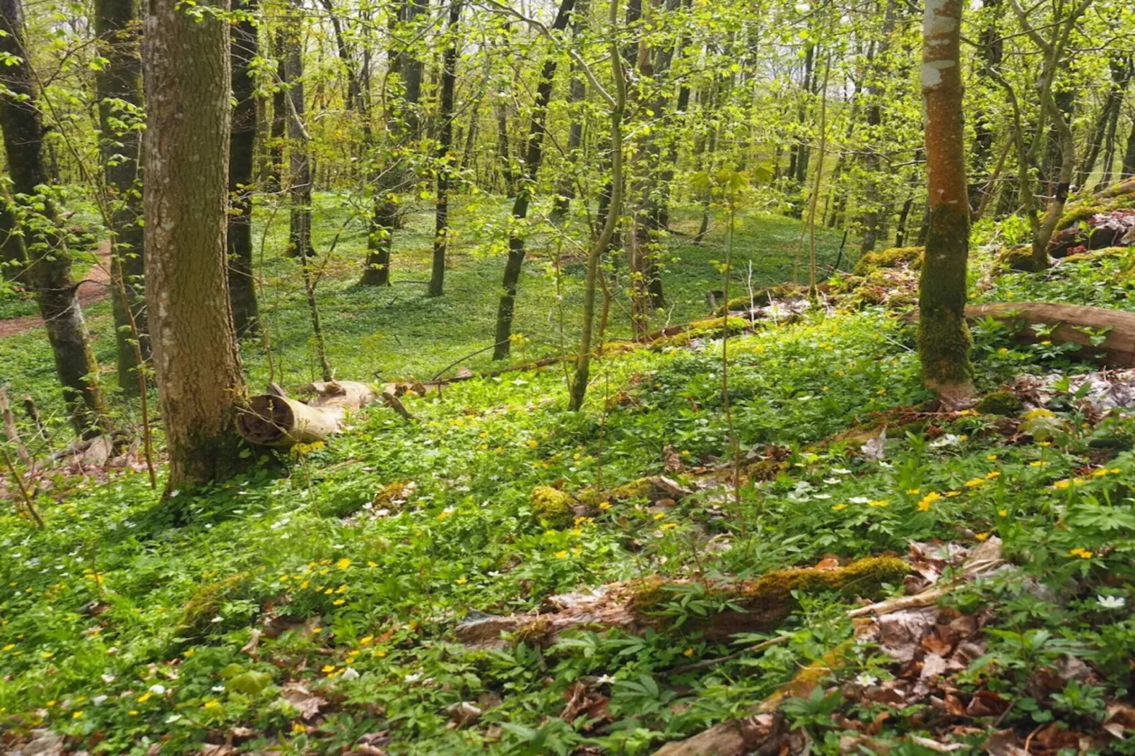 9 person holiday home in Ljungbyhed-By Traum-Untagged