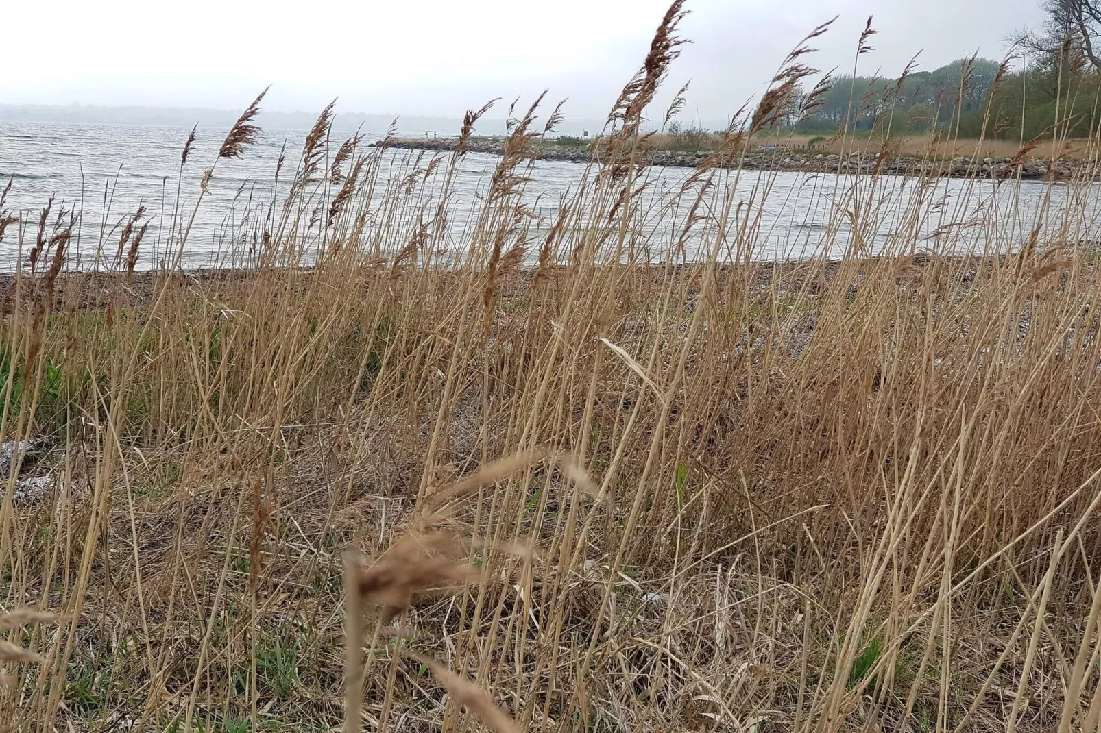 4 person holiday home in Egernsund-By Traum-Water view