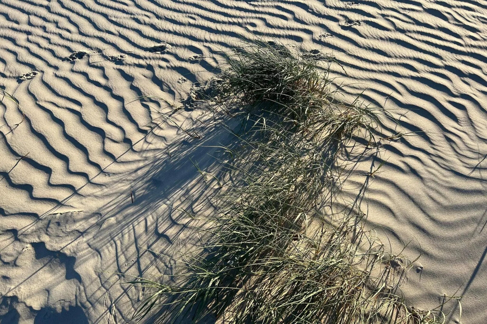 6 Personen Ferienhaus in Fanø-By Traum-Nicht zugeordnet