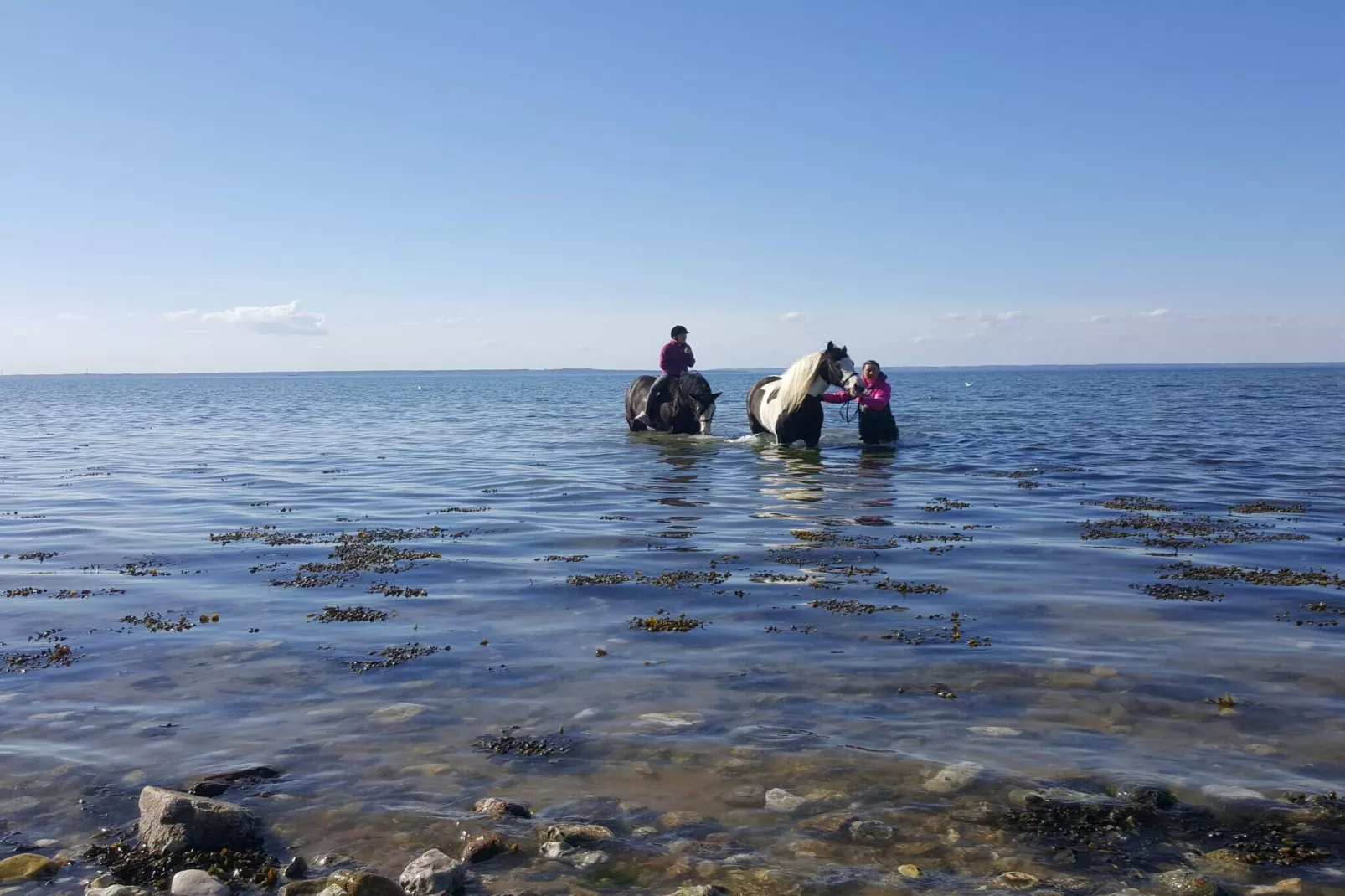 18 person holiday home in Bogense-Water view