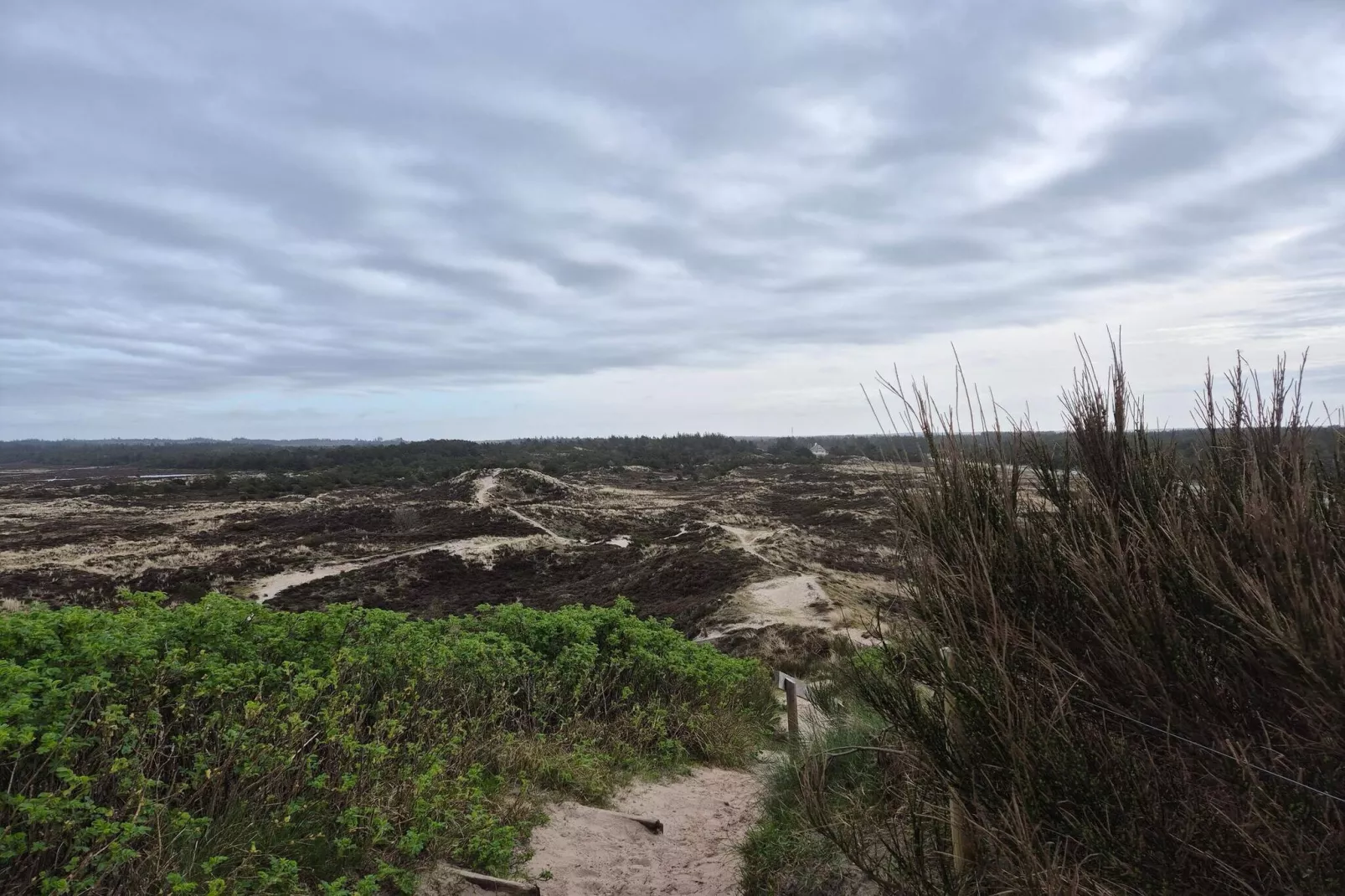 6 person holiday home in Henne-Untagged