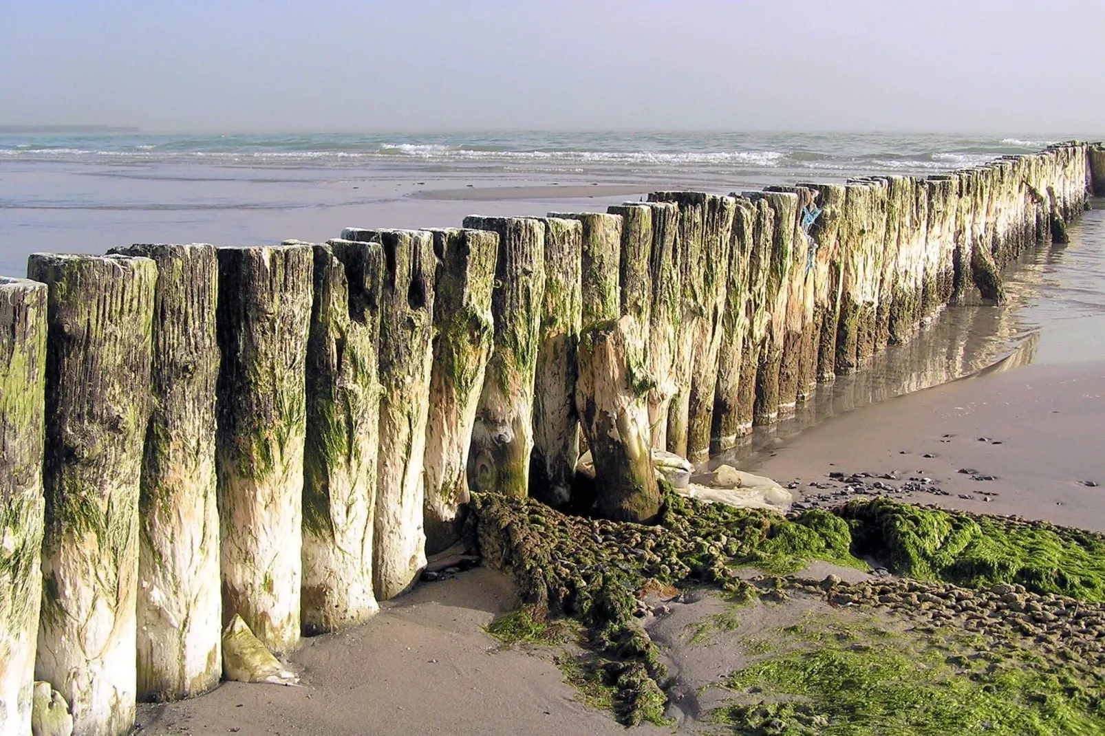 4 etoiles maison de vacances a Stege-By Traum-Vue sur l'eau