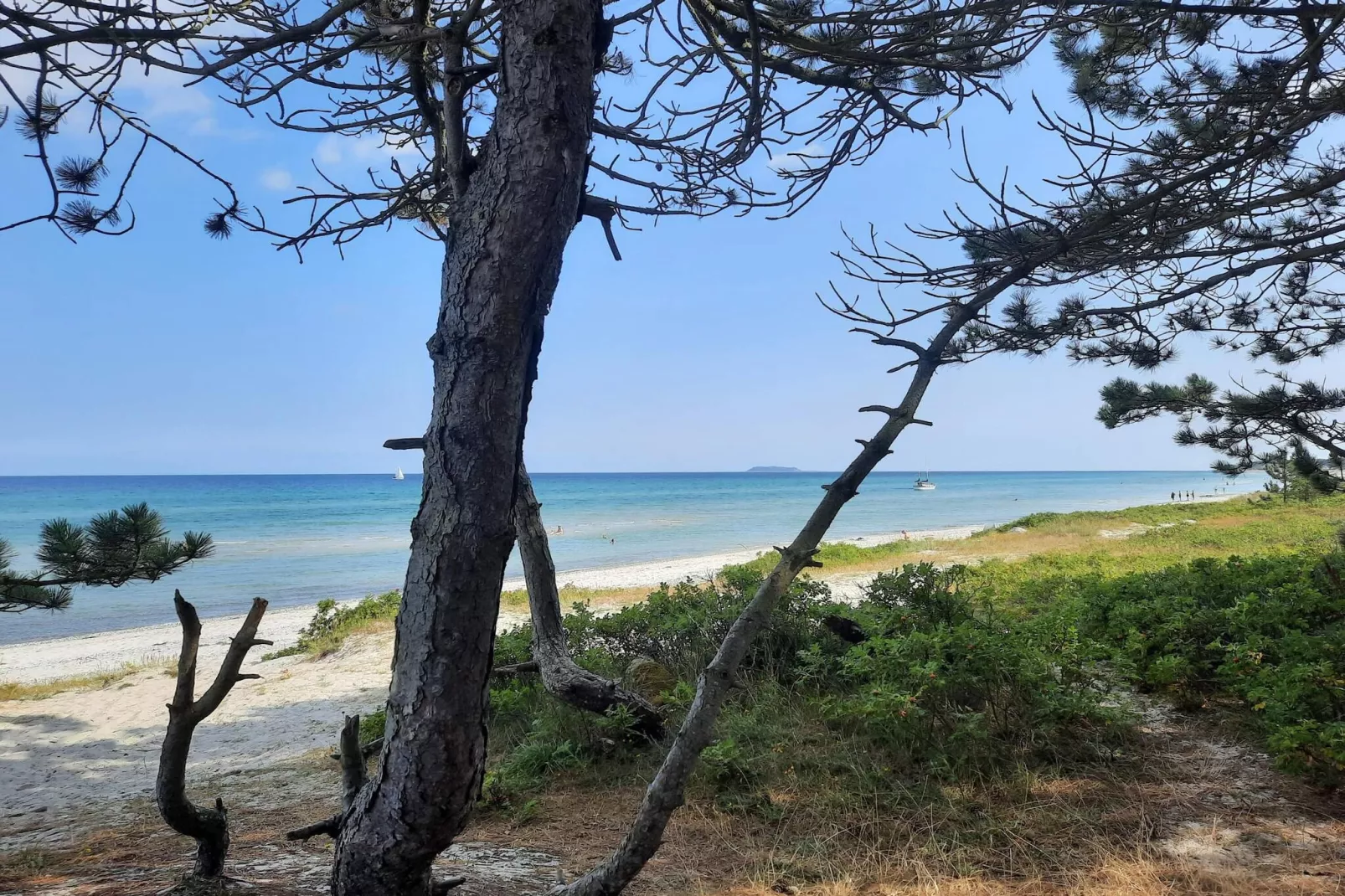 Maison de vacances pour 8 a Ebeltoft-Vue sur l'eau