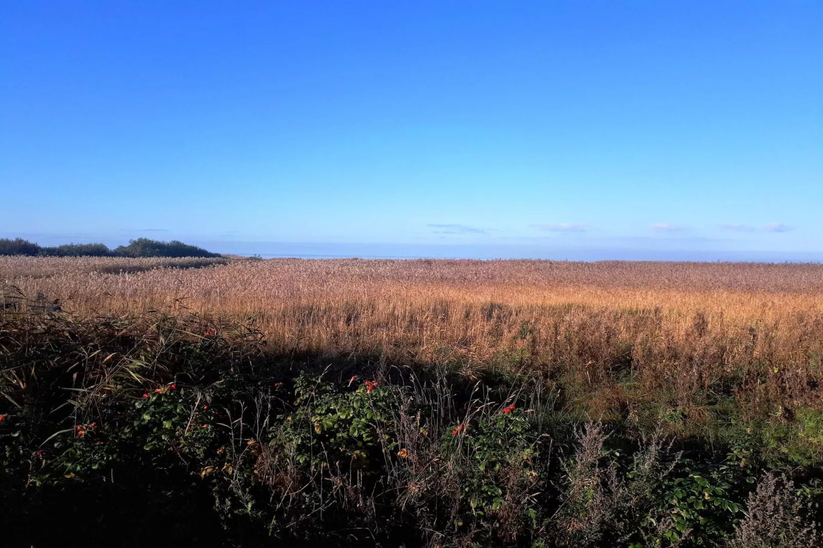 Maison de vacances pour 5 a Skjern-By Traum