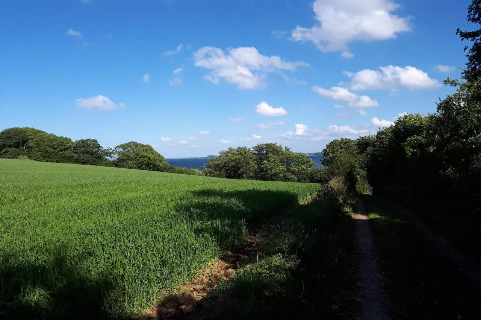 Maison de vacances pour 8 a Aabenraa-By Traum-Non tagué