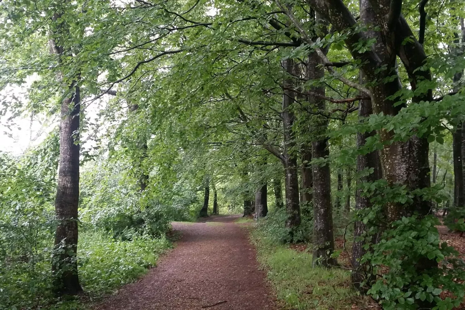 Lakefront Gem in Skarrild - By Traum Ferienwohnungen-Untagged