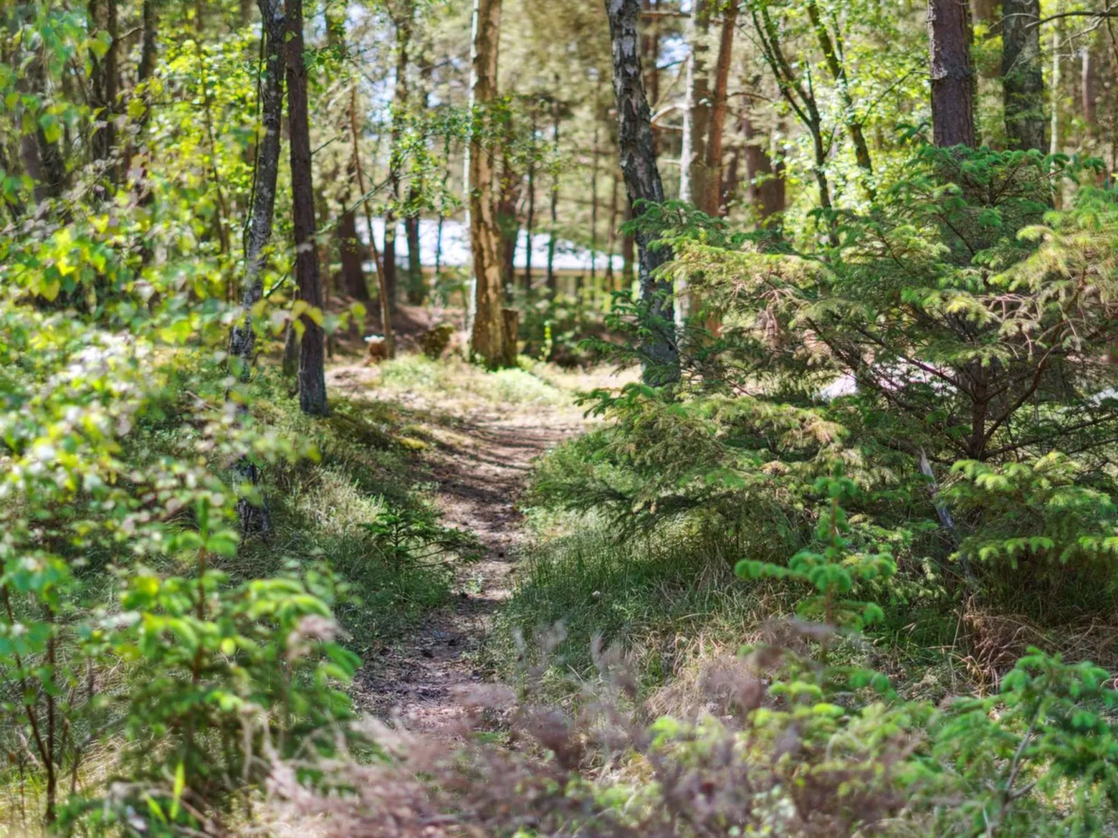 "Olla" - 400m from the sea-Outside