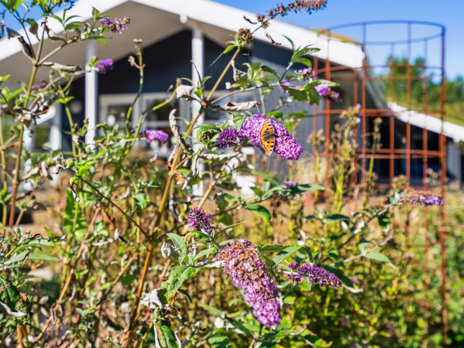 "Ofelia" - 2.5km from the sea-Dehors