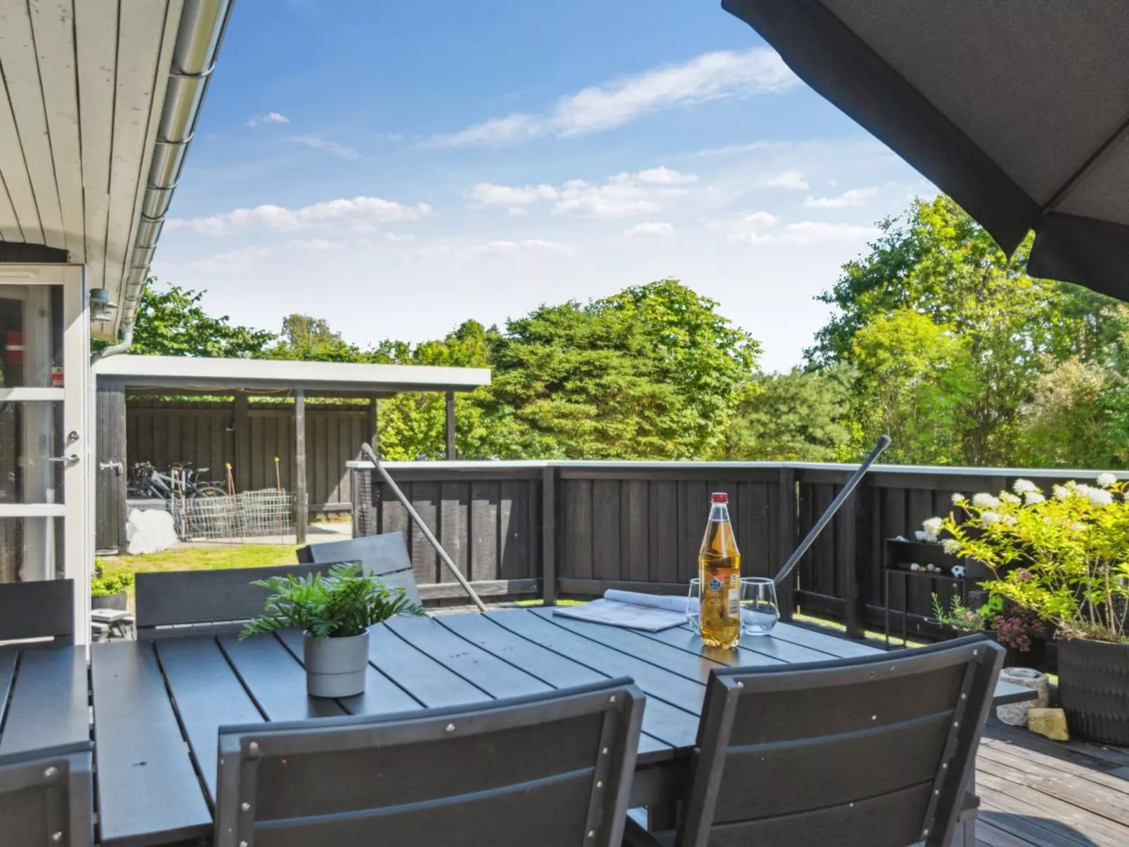 "Felippa" -  from the sea-Dehors