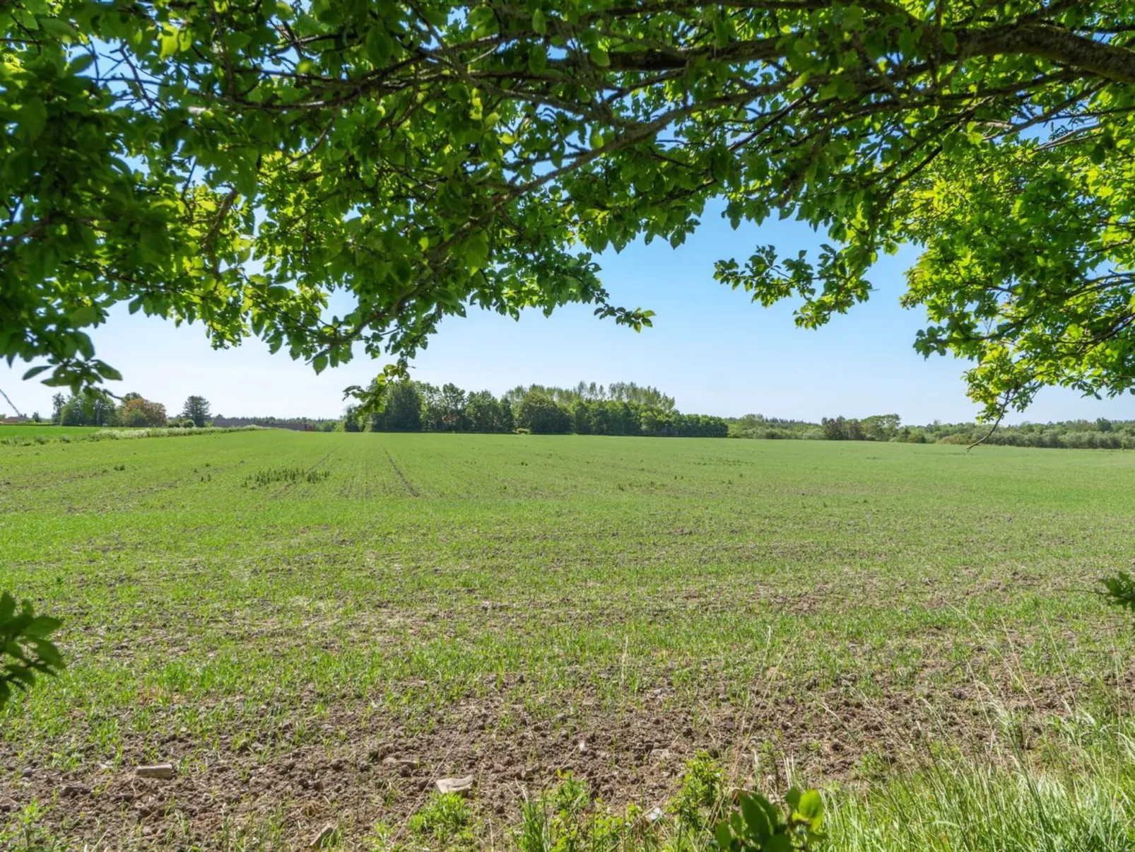 "Eliane" - 1.8km from the sea-Dehors