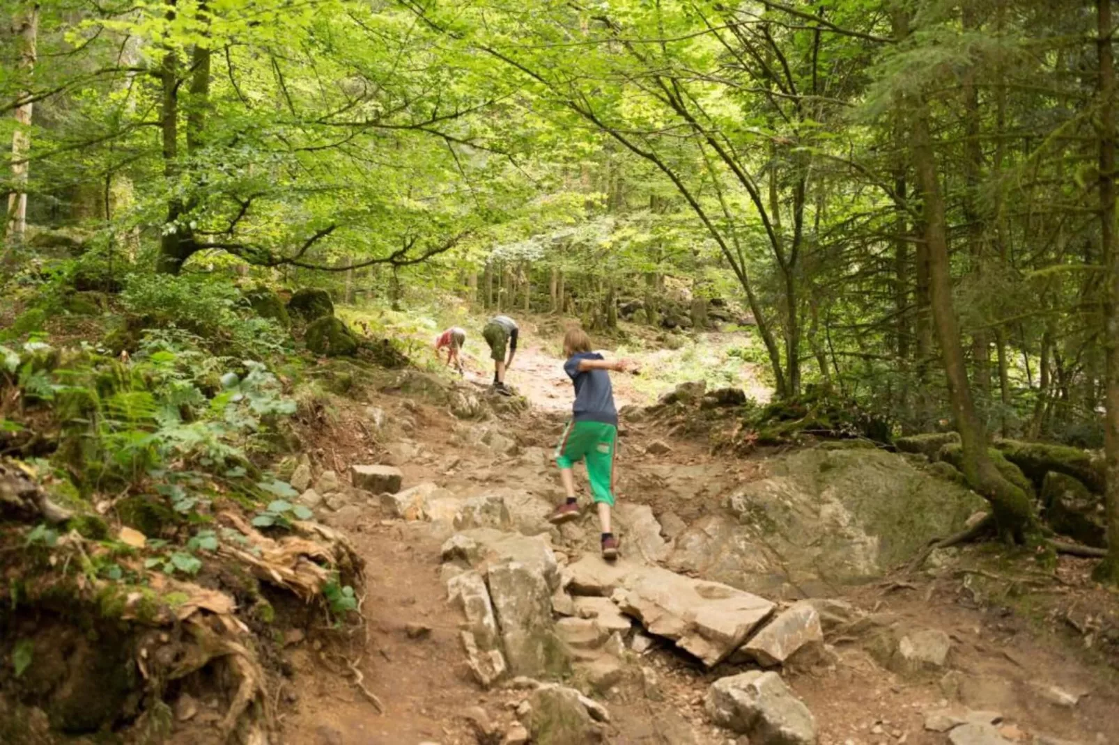 Domaine Des Messires 2-Areas within 5km in summer