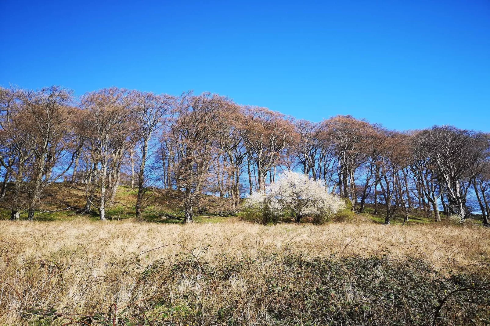 4 Personen Ferienhaus in Borre-By Traum-Nicht zugeordnet