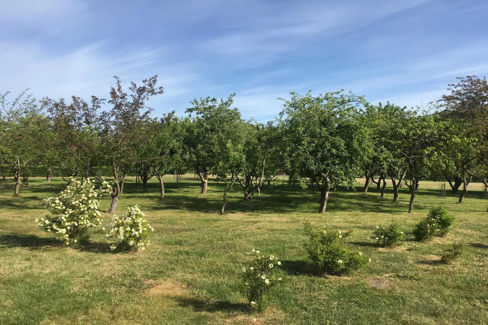 5 star holiday home in Frederikshavn-By Traum-Untagged