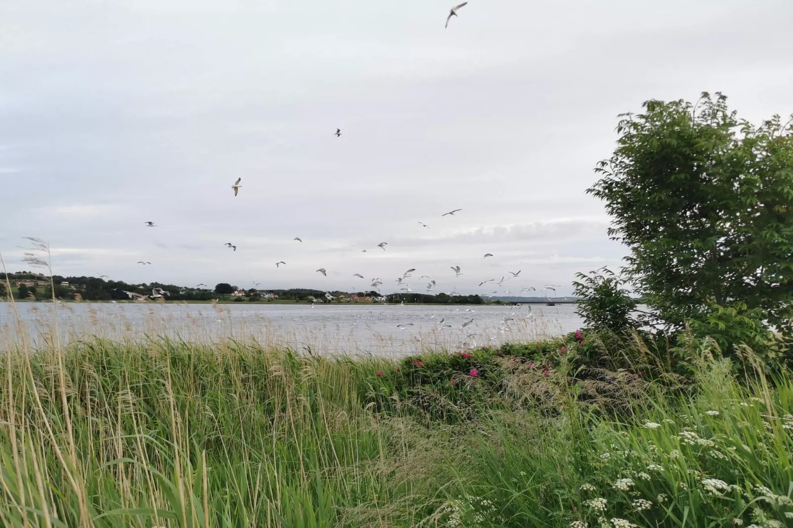 Maison de vacances pour 4 a Hadsund-By Traum