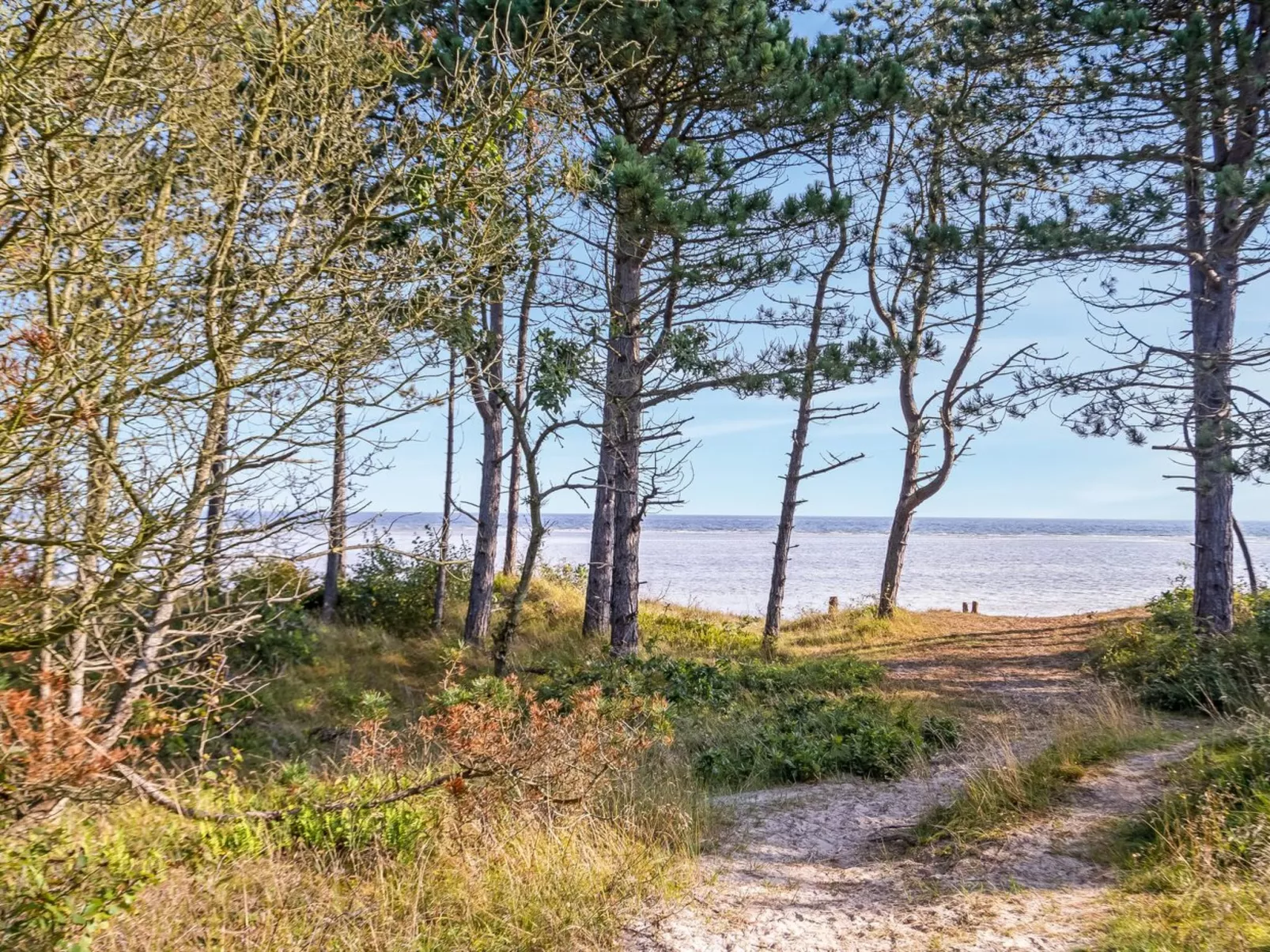 "Amai" - 100m from the sea-Dehors