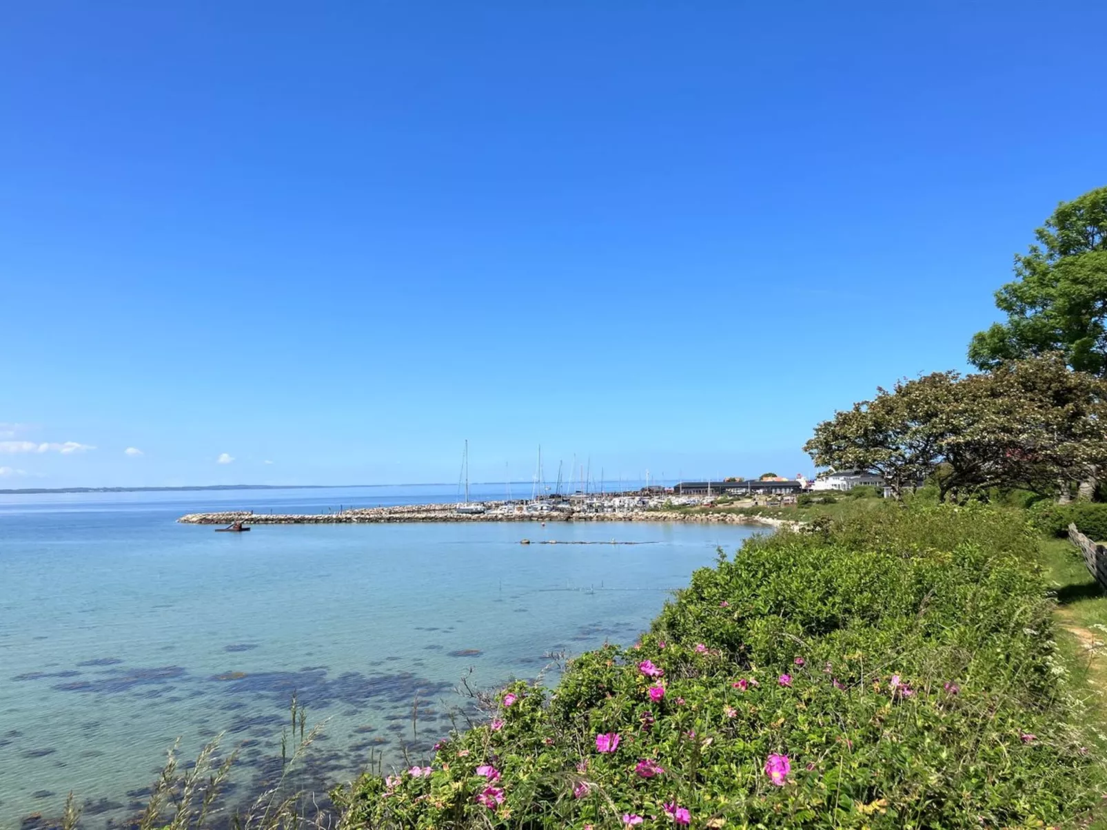 "Jovana" - 40m from the sea-Draußen