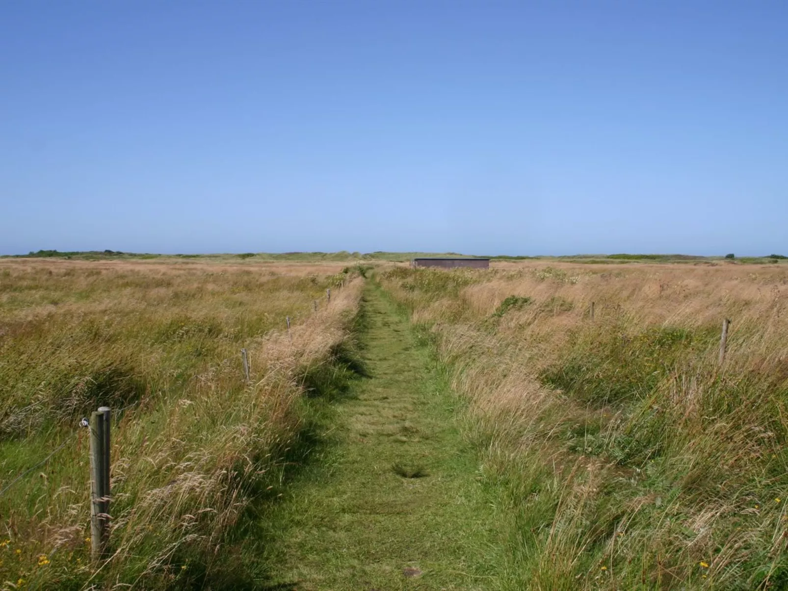 "Gisa" - 400m from the sea-Outside