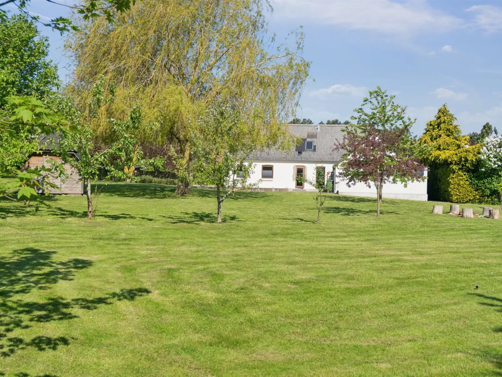 "Teodora" - 3km from the sea-Outside