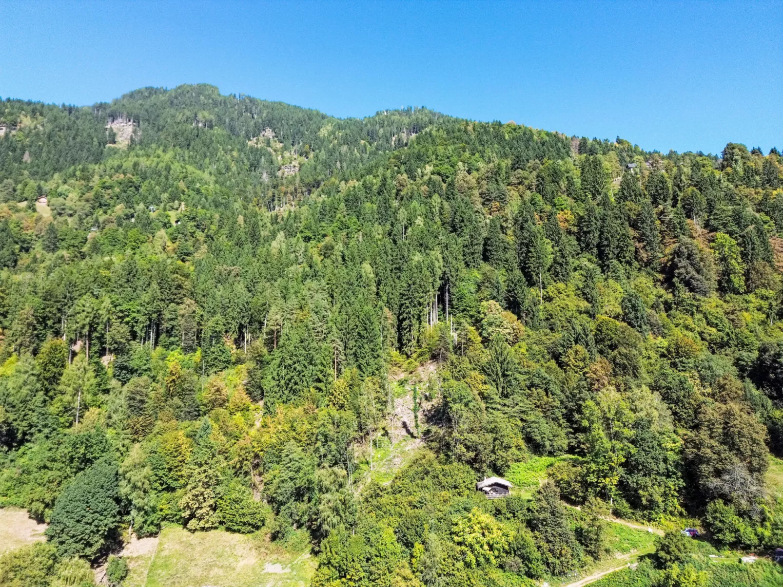 Häuschen am Waldrand-Outside