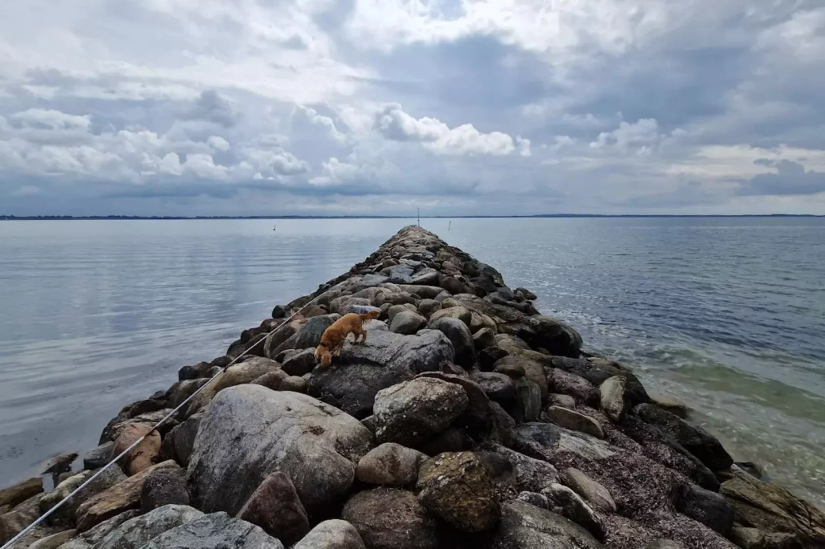 4 star holiday home in Øster Assels-By Traum-Water view