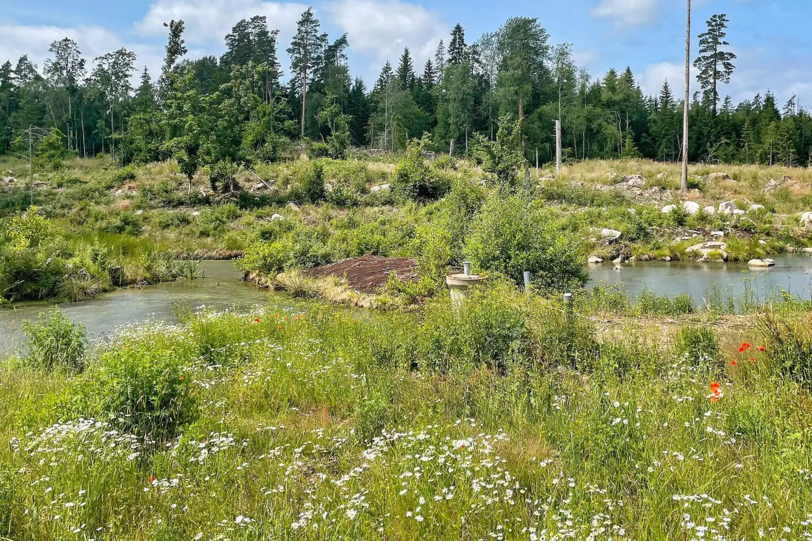 4 Personen Ferienhaus in TRANÅS-By Traum-Nicht getaggt