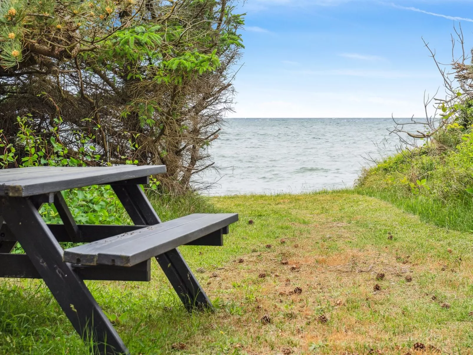 "Aimy" - 50m from the sea-Draußen