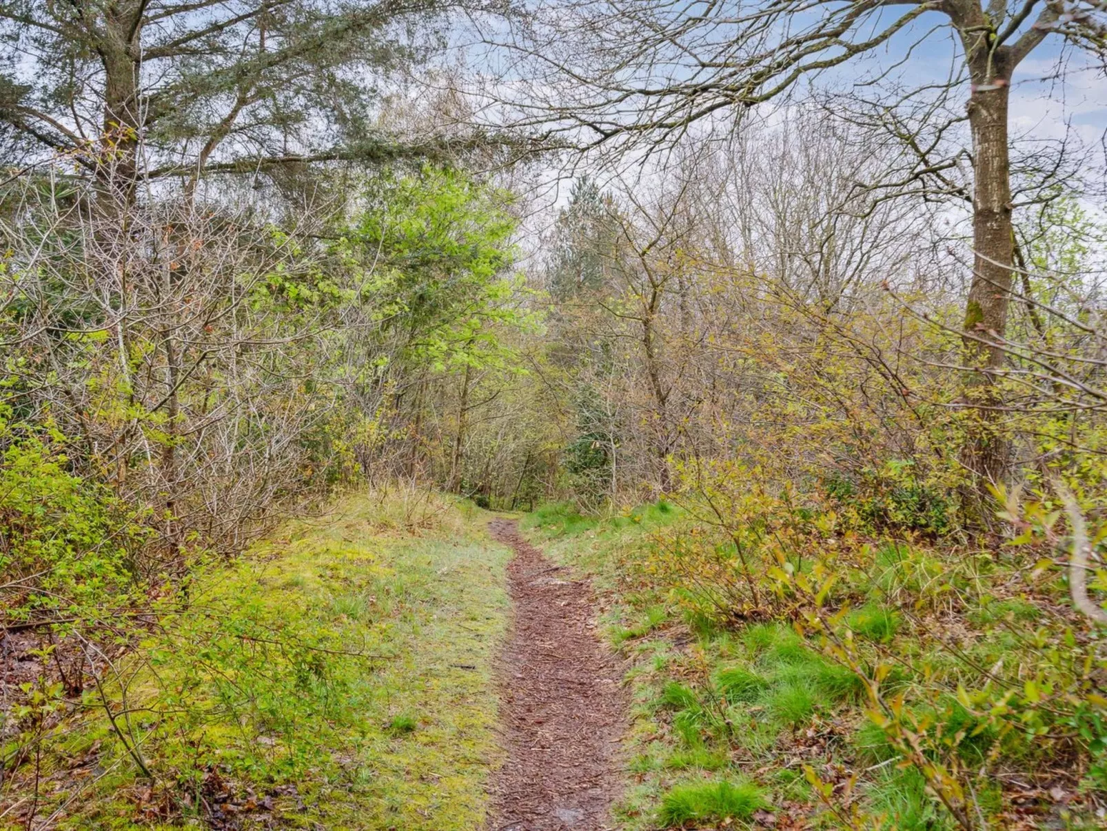 "Avni" - 300m from the sea-Outside