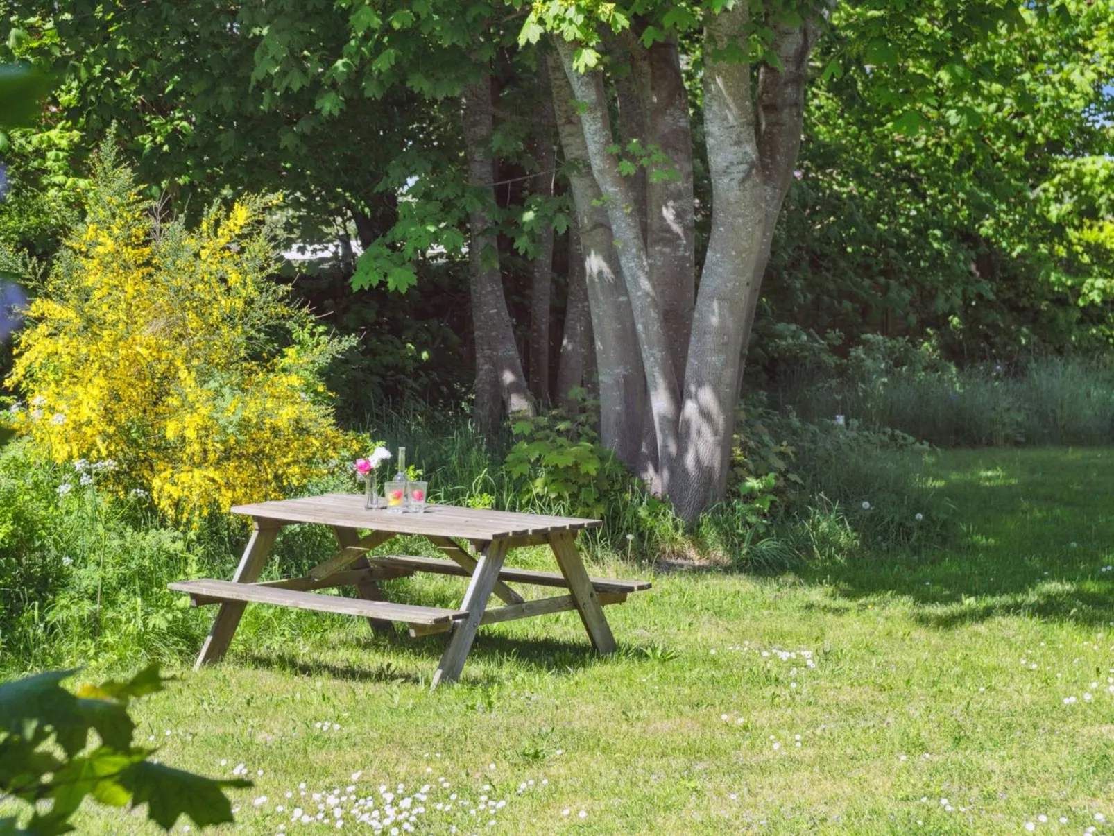 "Deljan" - 200m from the sea-Outside